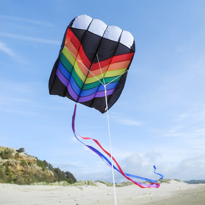Rainbow Air Foil Kite 2