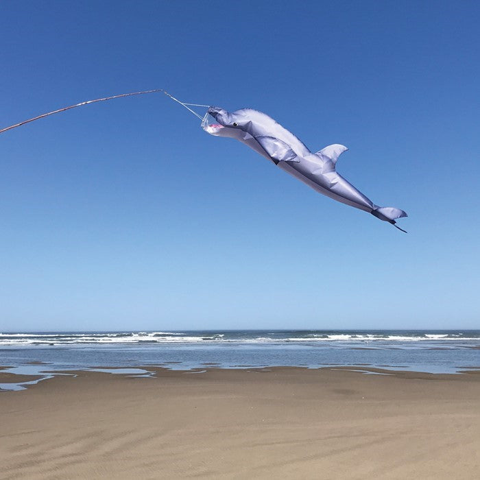 Surf City Kites Dolphin 48" Fish Windsock 2