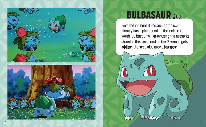 Pokémon: Trainer's Mini Exploration Guide to Kanto 2