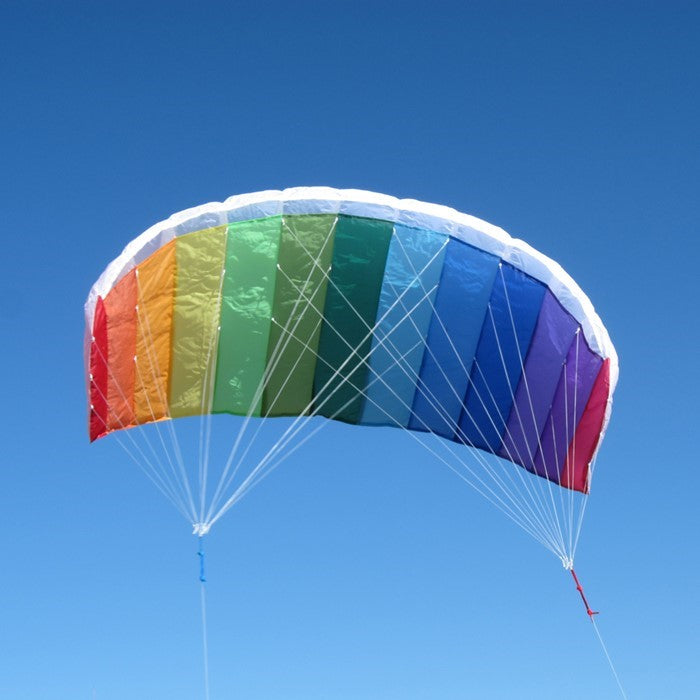 Sport Air Foil 62" Stunt Kite 2
