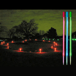 1 Dozen 12 Inch White LED Runway Markers-0