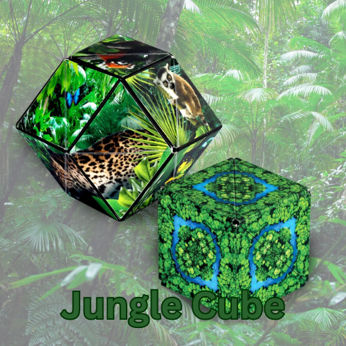 Shashibo Wild Series - Puzzle cube. Best games of 2023. Jungle design cube.
