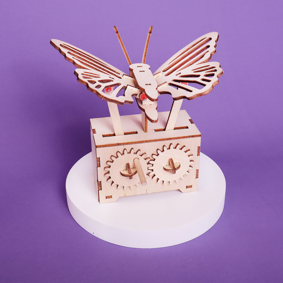 Fluttering Butterfly DIY Kit, Educational STEM Toy 6
