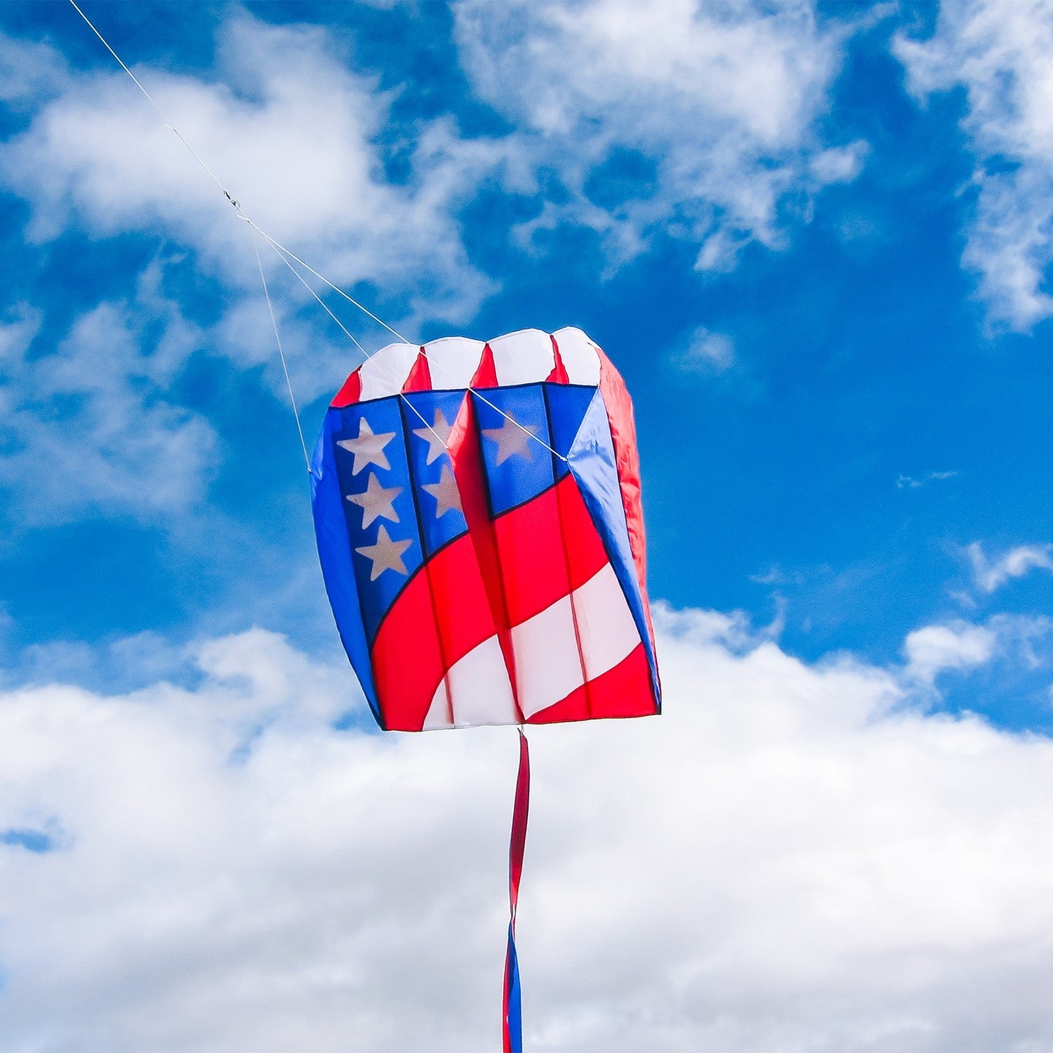 Patriot Wave Air Foil Kite 4