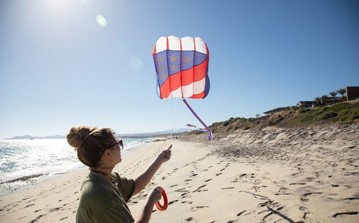 Patriot Wave Air Foil Kite 3