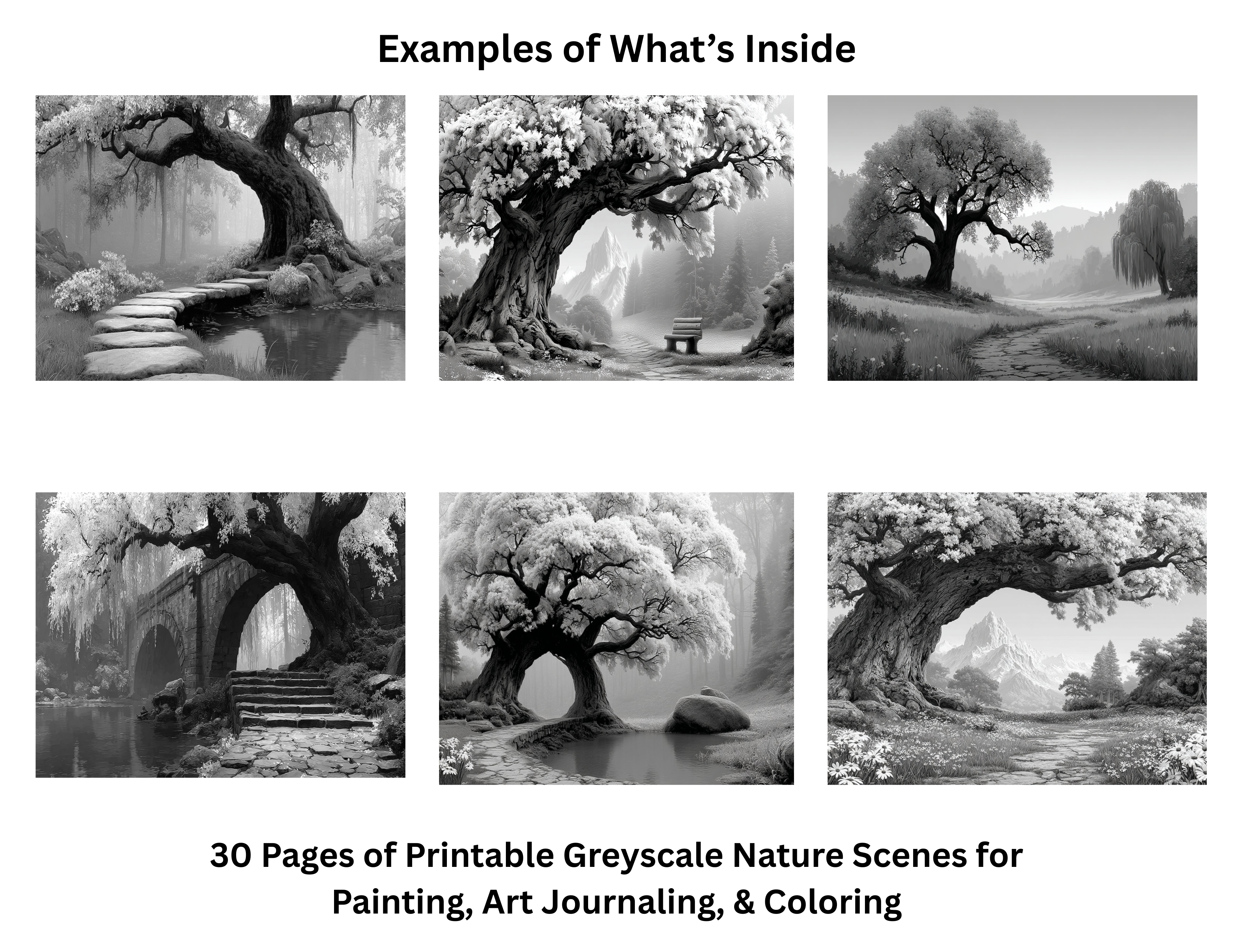 Mystical Landscapes - Greyscale Nature Scenes for Painting, Art Journaling, & Coloring Vol One 2