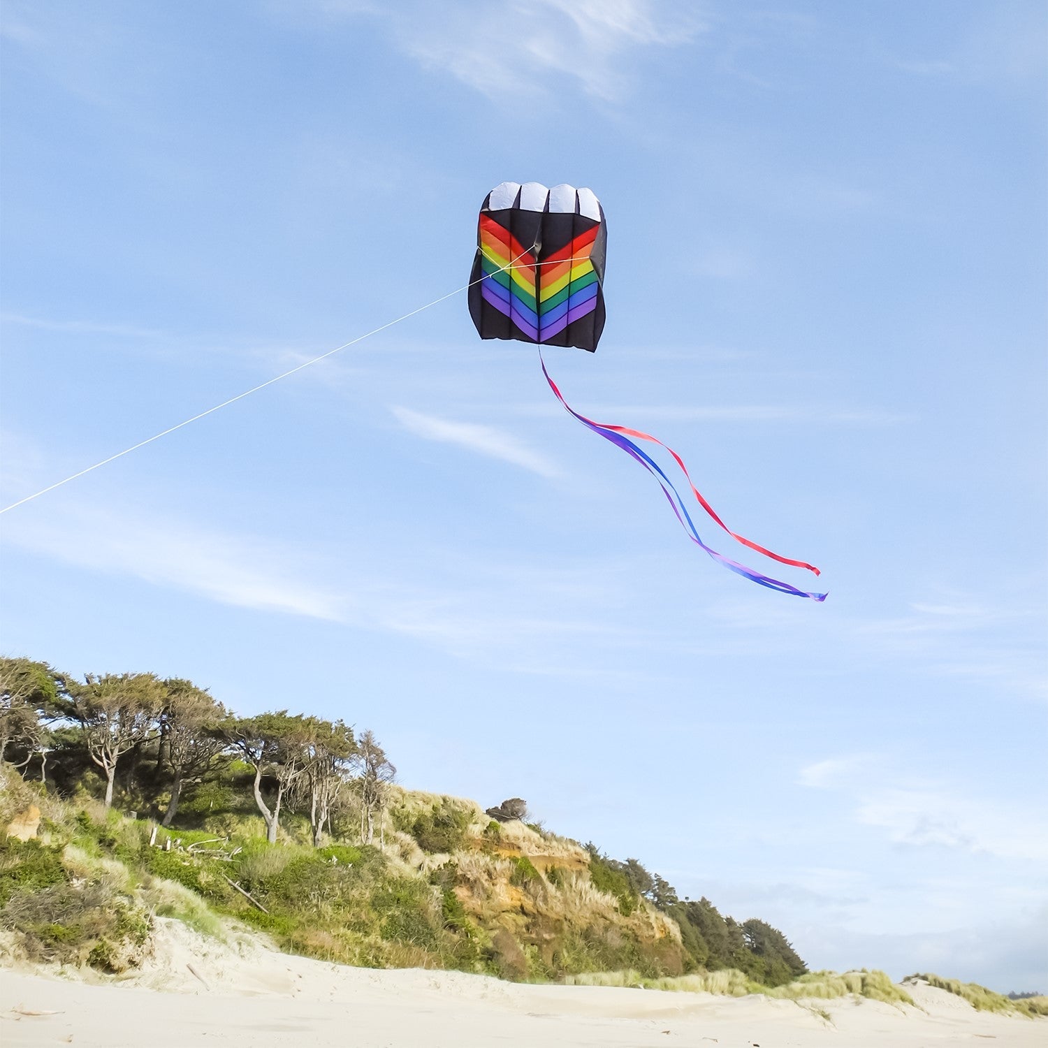 Rainbow Air Foil Kite 3