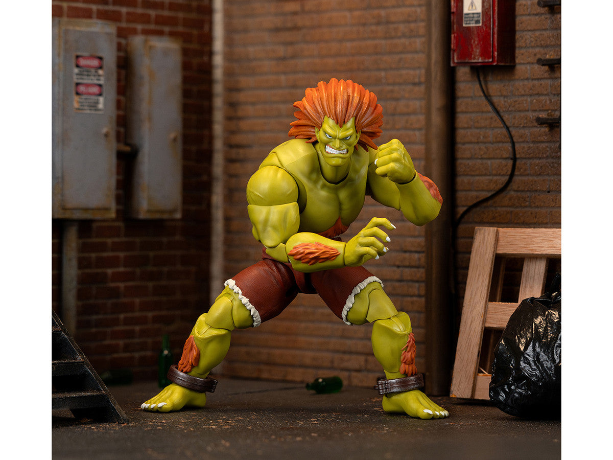Street Fighter Blanka 7.5 inch action figure posed with accessories
