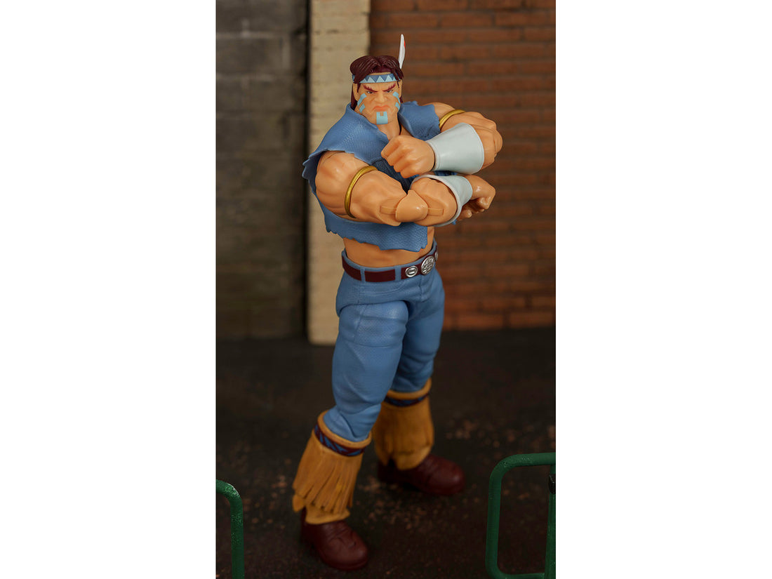 T. Hawk Ultra Street Fighter II Jada Toys articulated action figure display pose
