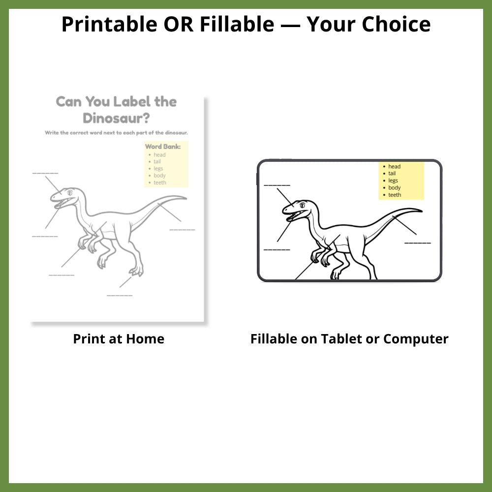 Dinosaur Learning & Activity Book | Printable PDF for Ages 6–10