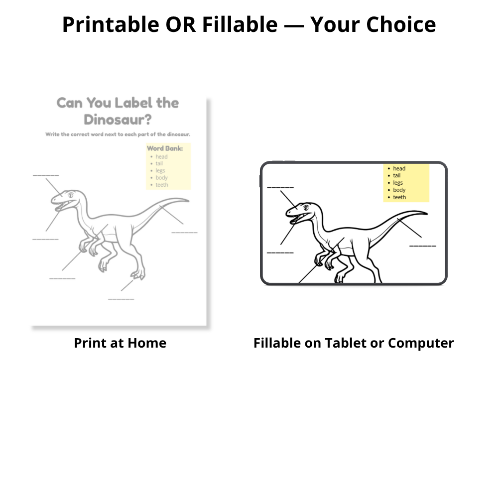 Dinosaur Learning & Activity Book - 50 Page Printable + Fillable PDF for Ages 6-10 3