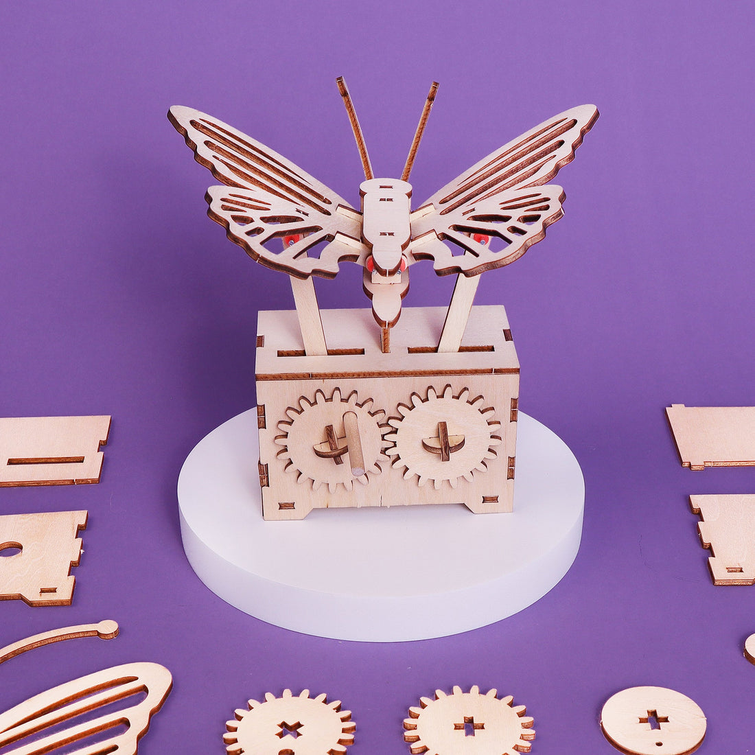 Fluttering Butterfly DIY Kit, Educational STEM Toy 7