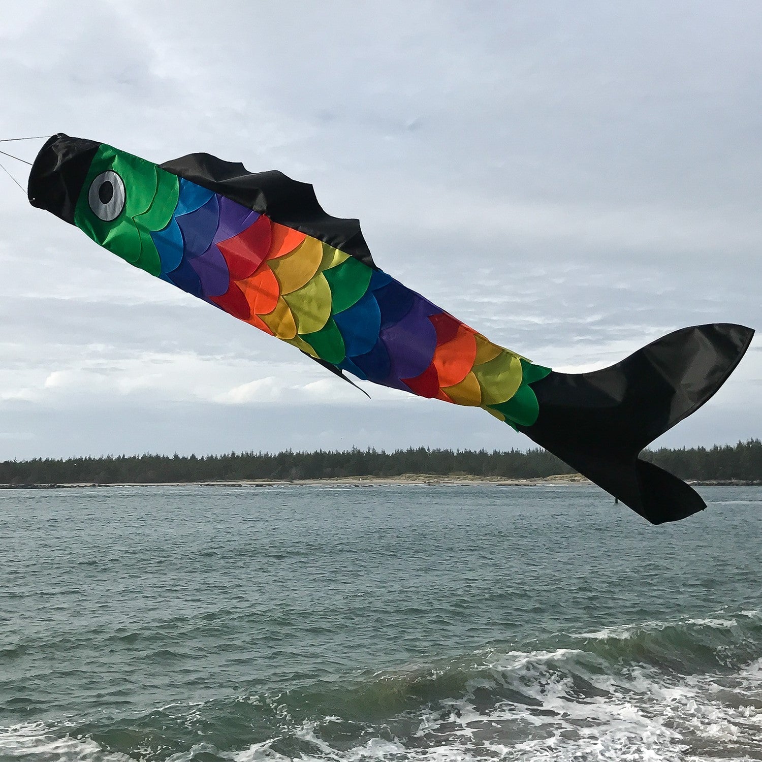 Surf City Kites Rainbow Scales 60" Fishsock 4