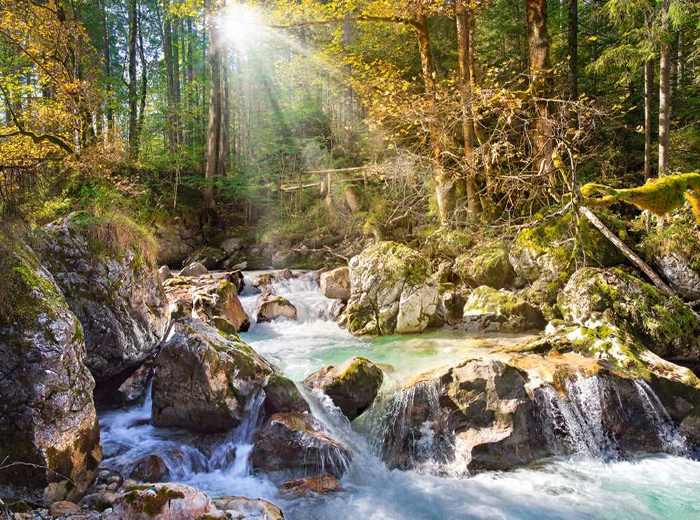 Mountain stream flowing through a peaceful woodland forest