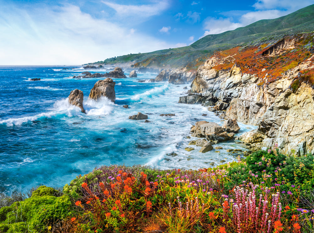Big Sur California coastal landscape with ocean waves rocky cliffs and colorful wildflowers