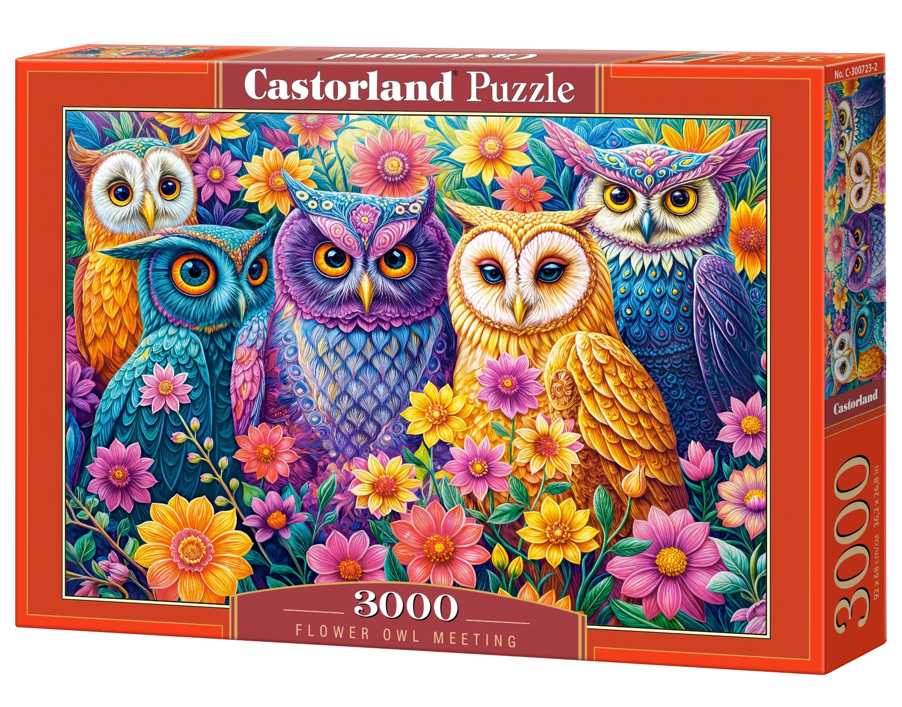 Castorland Flower Owl Meeting 3000 piece jigsaw puzzle box featuring colorful owls and flowers