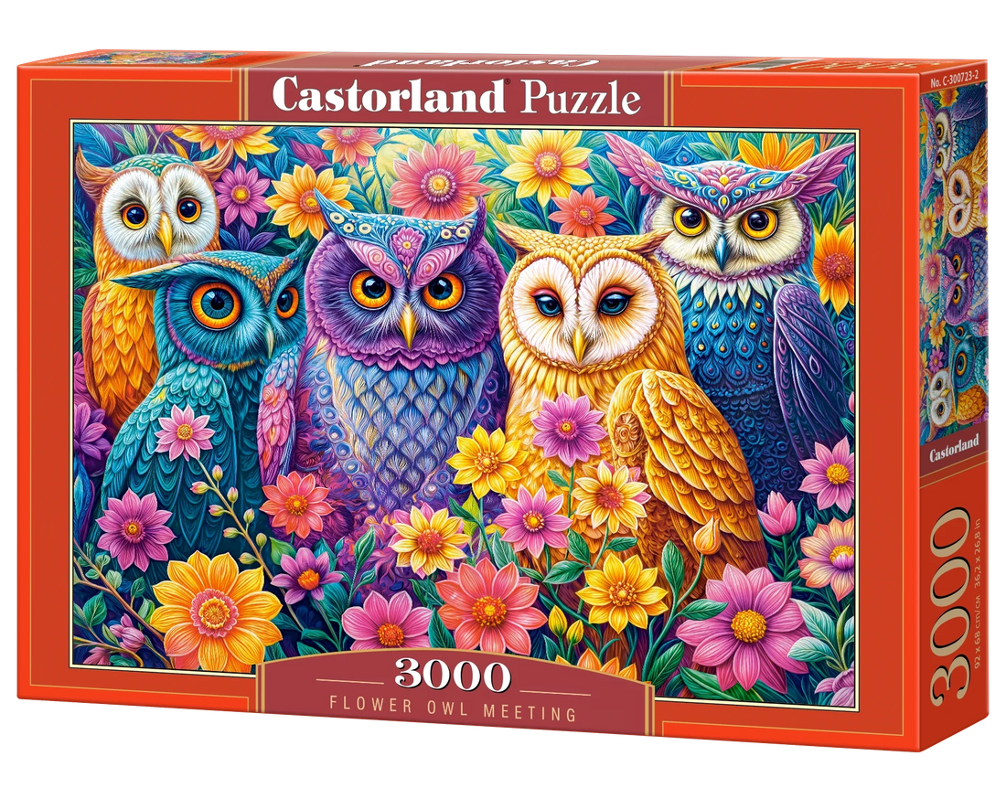 Castorland Flower Owl Meeting 3000 piece jigsaw puzzle box featuring colorful owls and flowers