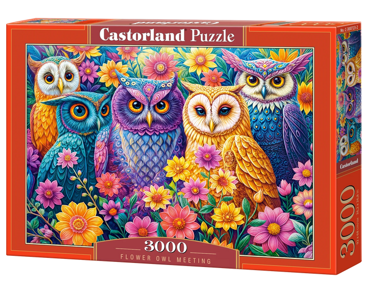 Castorland Flower Owl Meeting 3000 piece jigsaw puzzle box featuring colorful owls and flowers