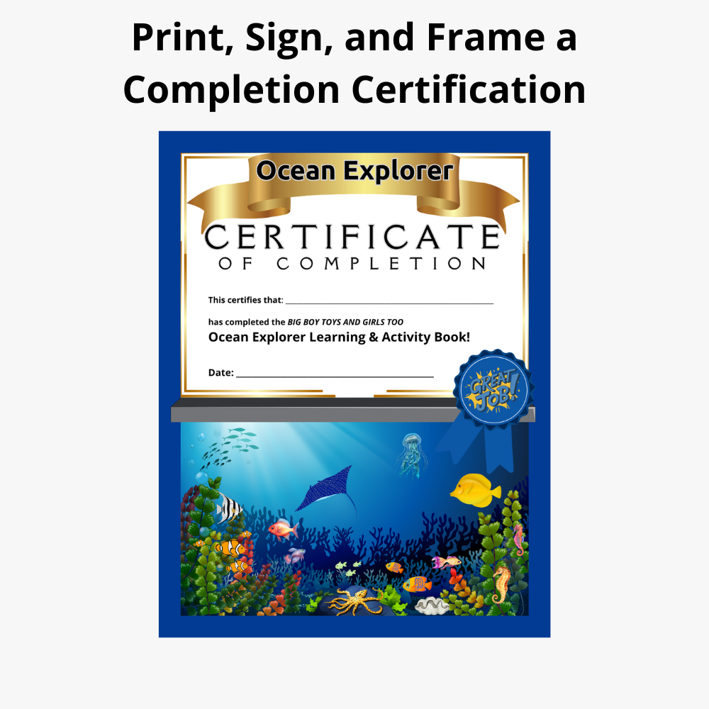 Ocean Explorer activity book certificate of completion