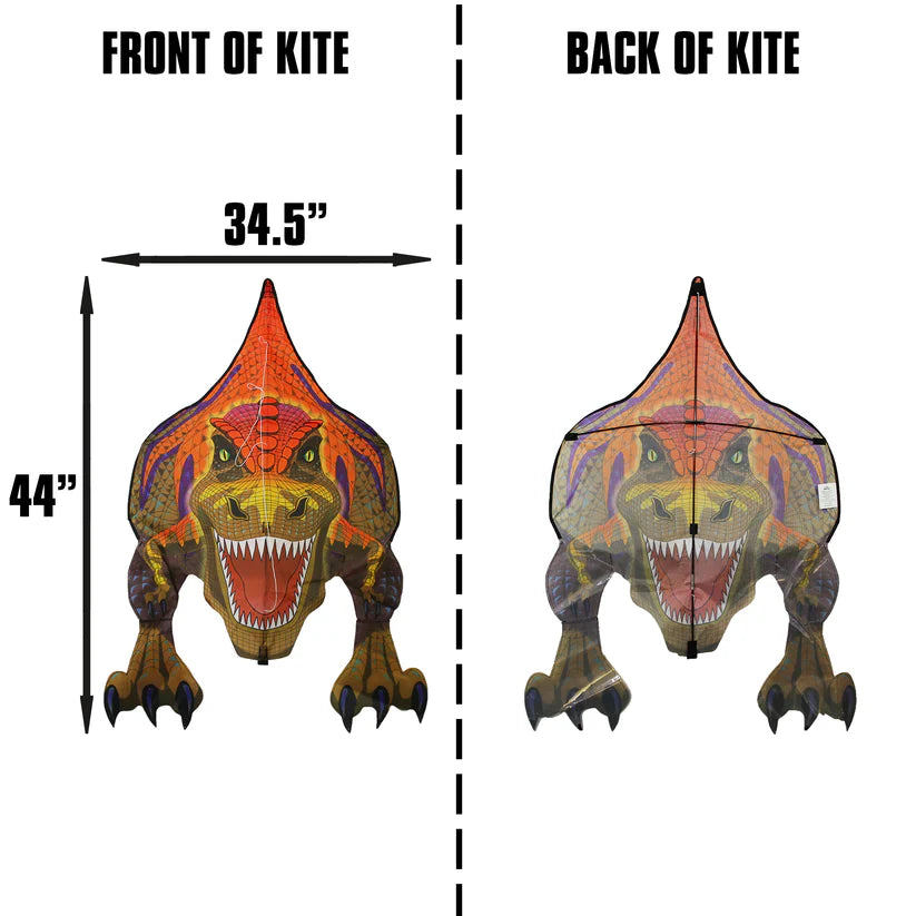 Kites - DinoSaur 44 inch tall Nylon T-Rex  Kite 2
