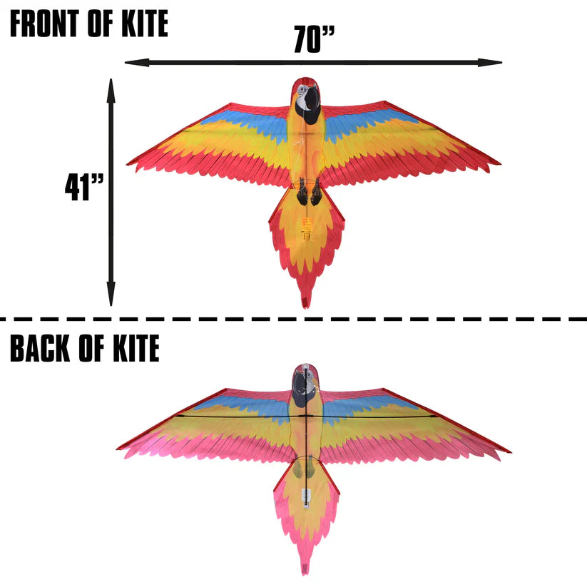 Kite - FantasyFliers Red Macaw Nylon Kite, 70 Inches Wide 2