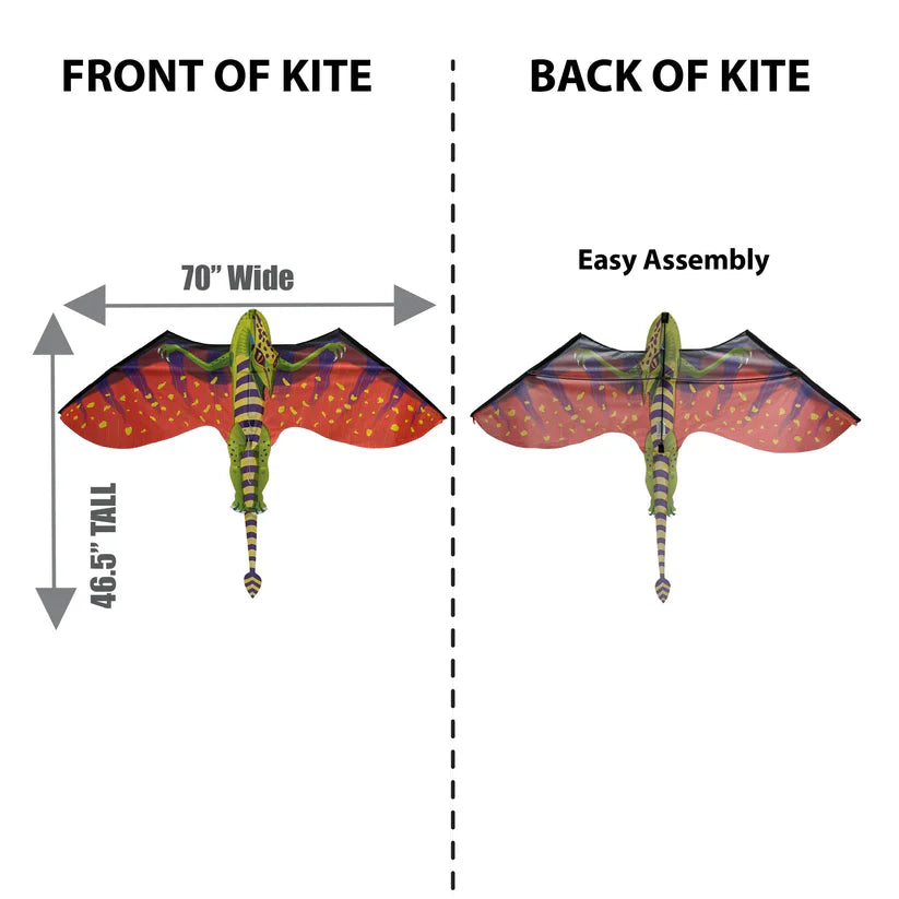 Kite - Fantasy 70 inch Wingspan Nylon Pterodactyl 2