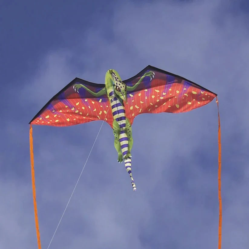 Kite - Fantasy 70 inch Wingspan Nylon Pterodactyl 4
