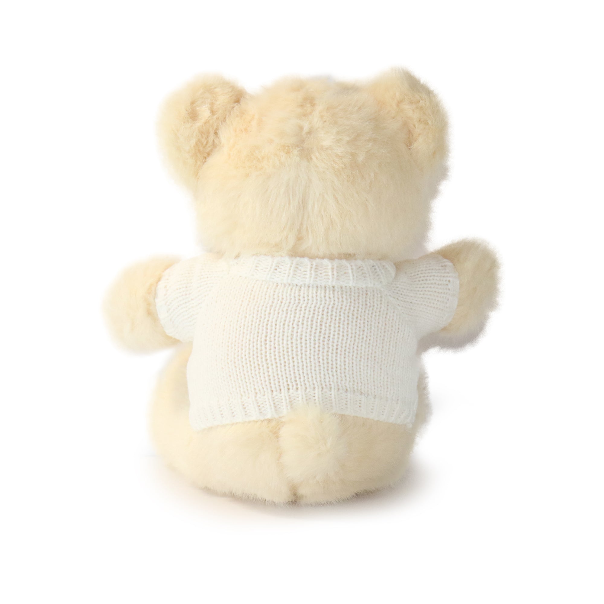Fashionable Cozy Sweater Bear 9
