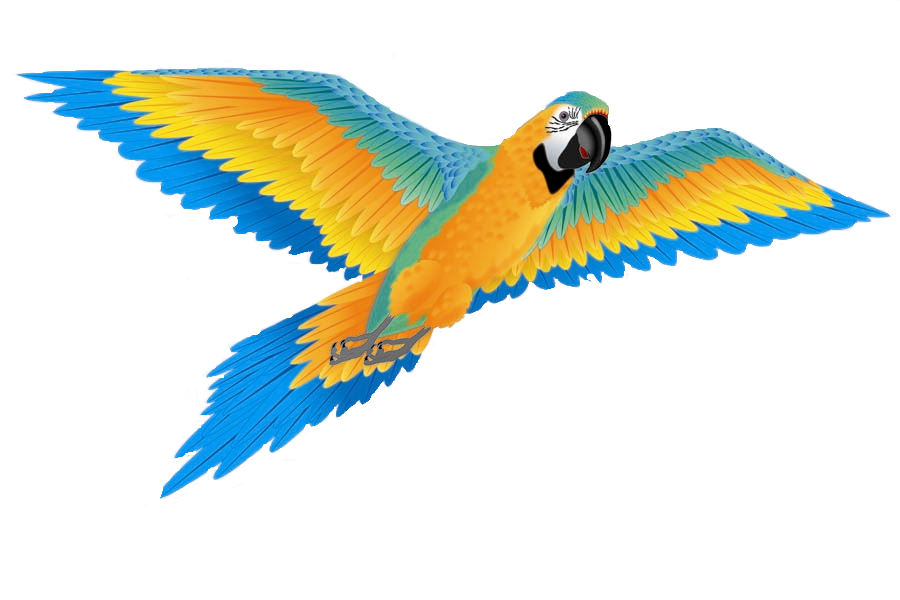 Kite - 74 Inch Wingspan 3-D Nylon Blue Macaw Kite