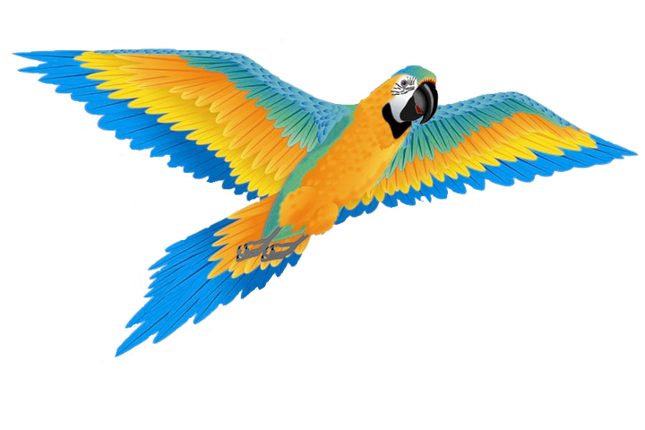 Kite - 74 Inch Wingspan 3-D Nylon Blue Macaw Kite