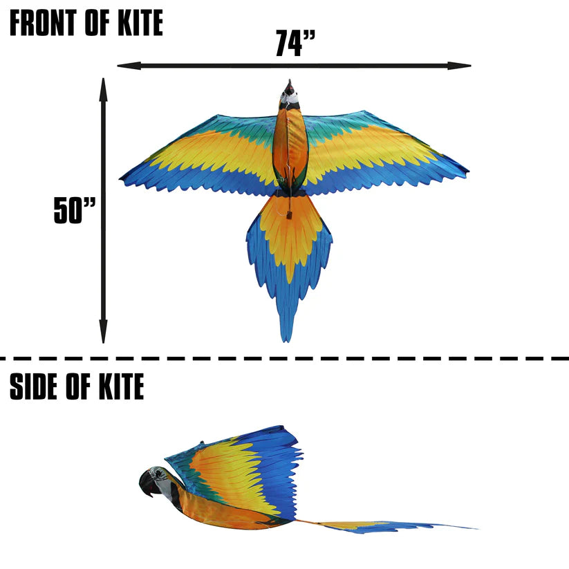 Kite - 74 Inch Wingspan 3-D Nylon Blue Macaw Kite 2