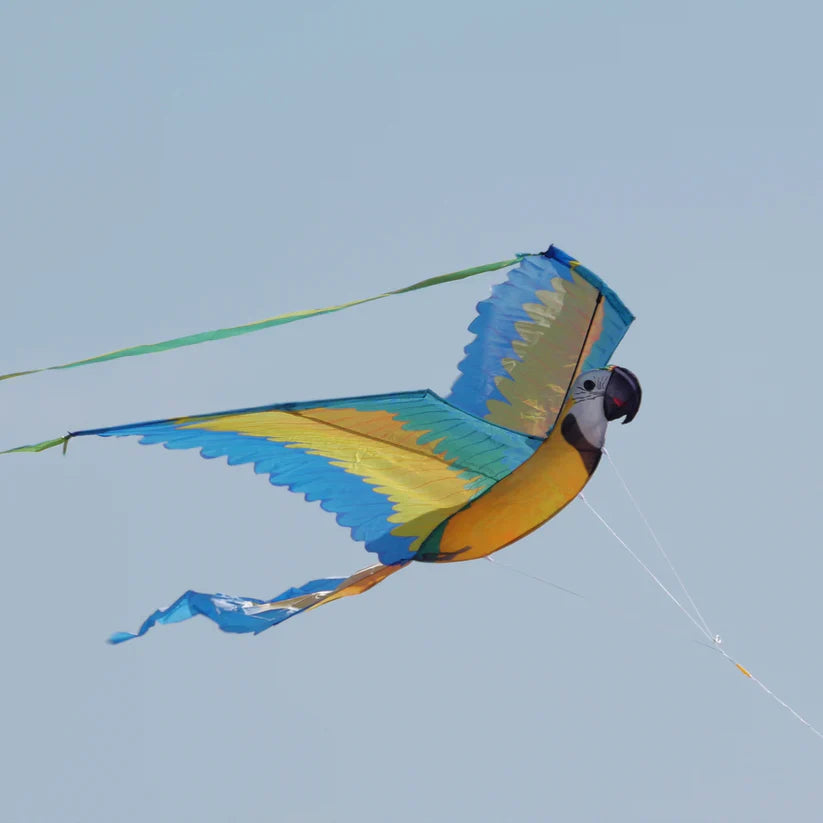 Kite - 74 Inch Wingspan 3-D Nylon Blue Macaw Kite 3