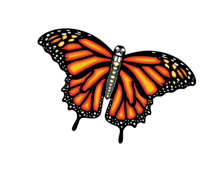 Kite - 55 Inch Wide Supersize Ultra Monarch Butterfly Ripstop Nylon Kite
