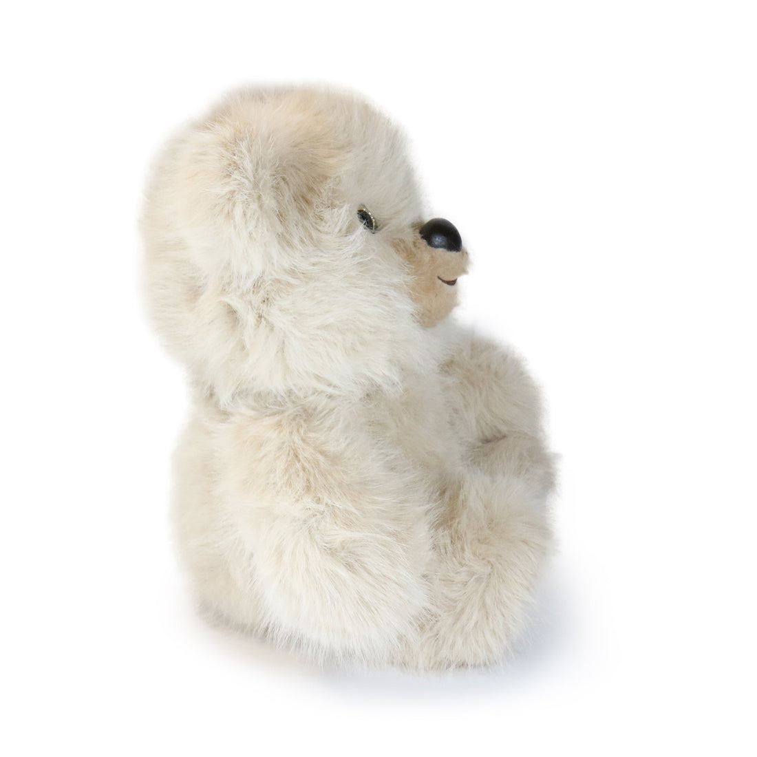 Honeywood Bear 14