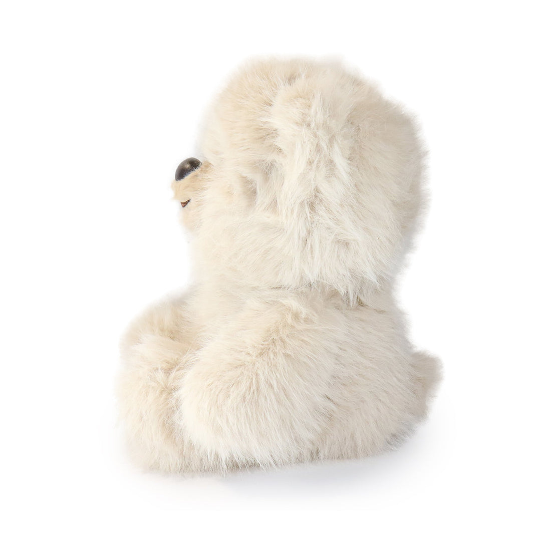 Honeywood Bear 15