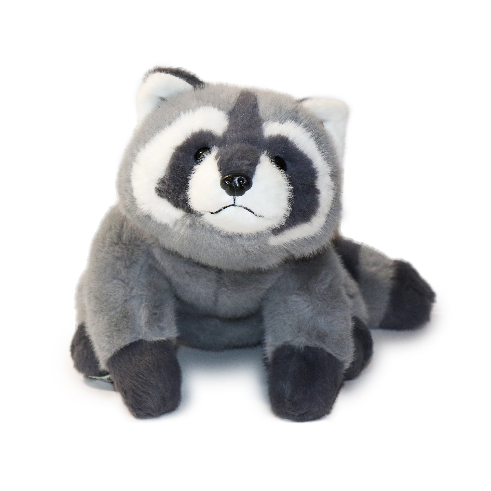 Bandit Raccoon 2