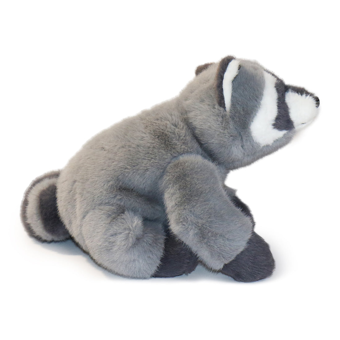 Bandit Raccoon 3