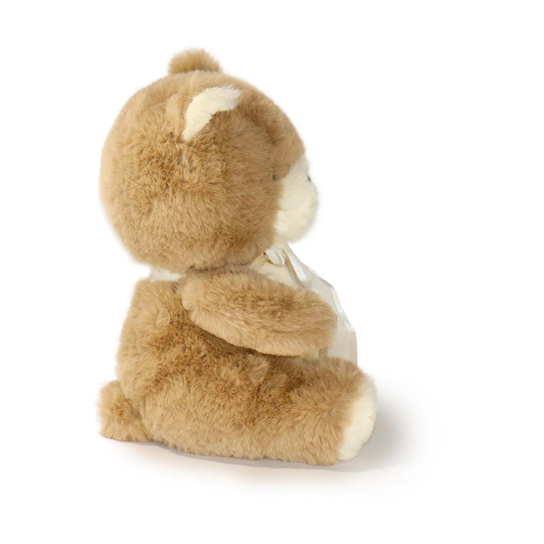Plush Bear with White Ribbon 8-inch  3