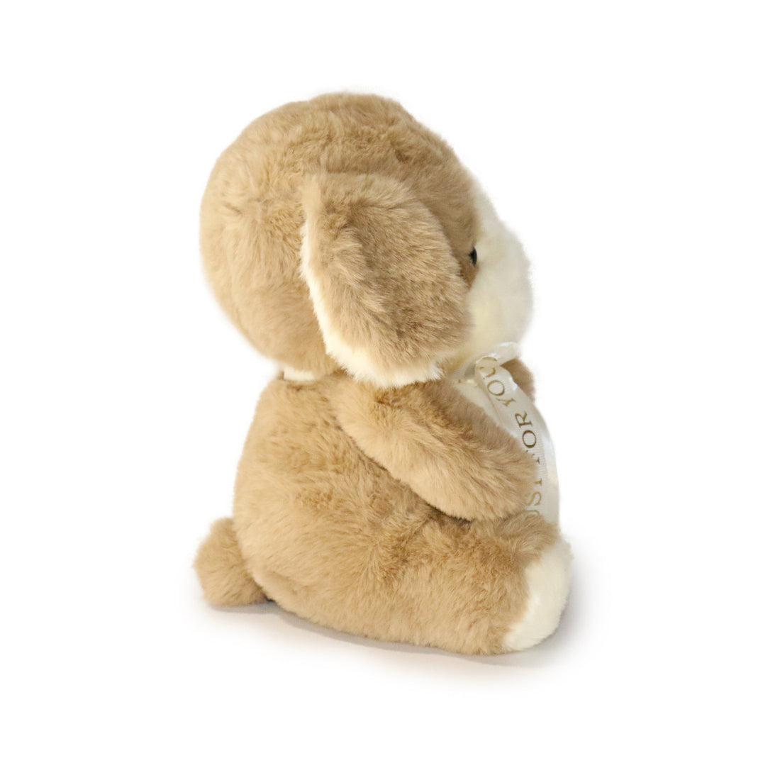Just For You Dog: A Plush Toy Made to Make Someone Feel Special 3