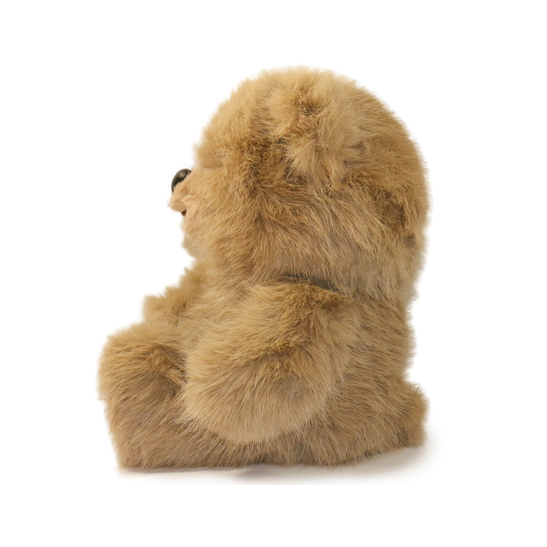 Honeywood Bear 3