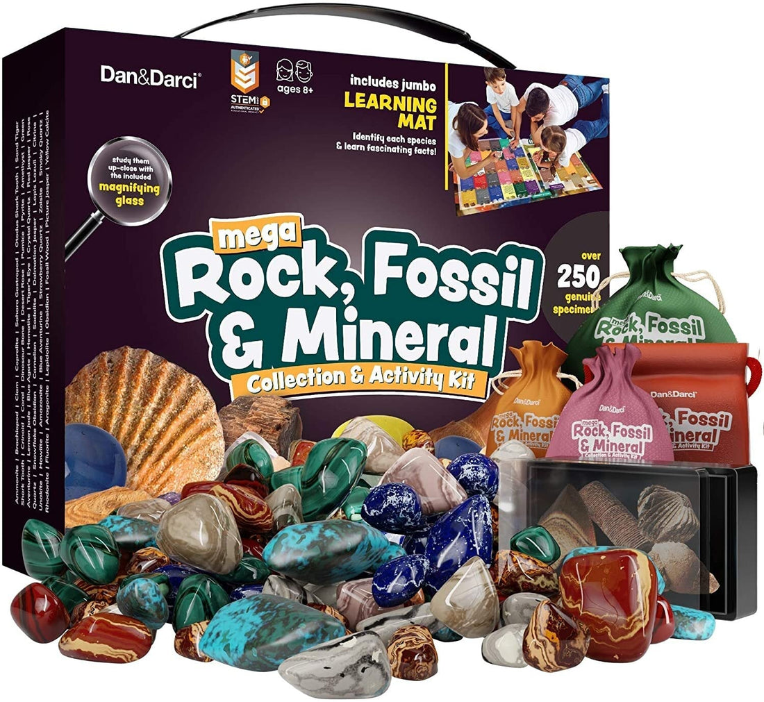 Dan&Darci Mega Rock, Fossil &amp; Mineral Collection & Activity Kit by Surreal Brands 4