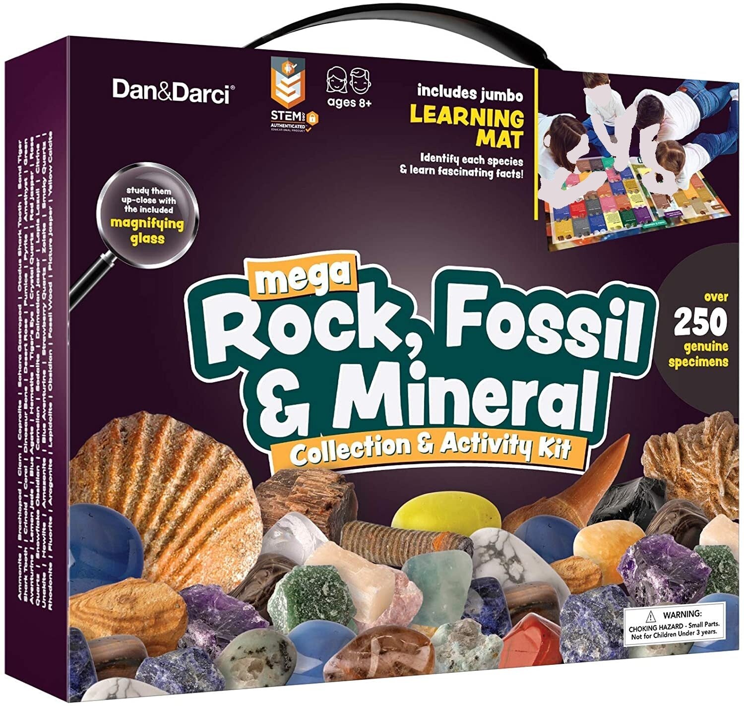 Dan&Darci Mega Rock, Fossil &amp; Mineral Collection & Activity Kit by Surreal Brands
