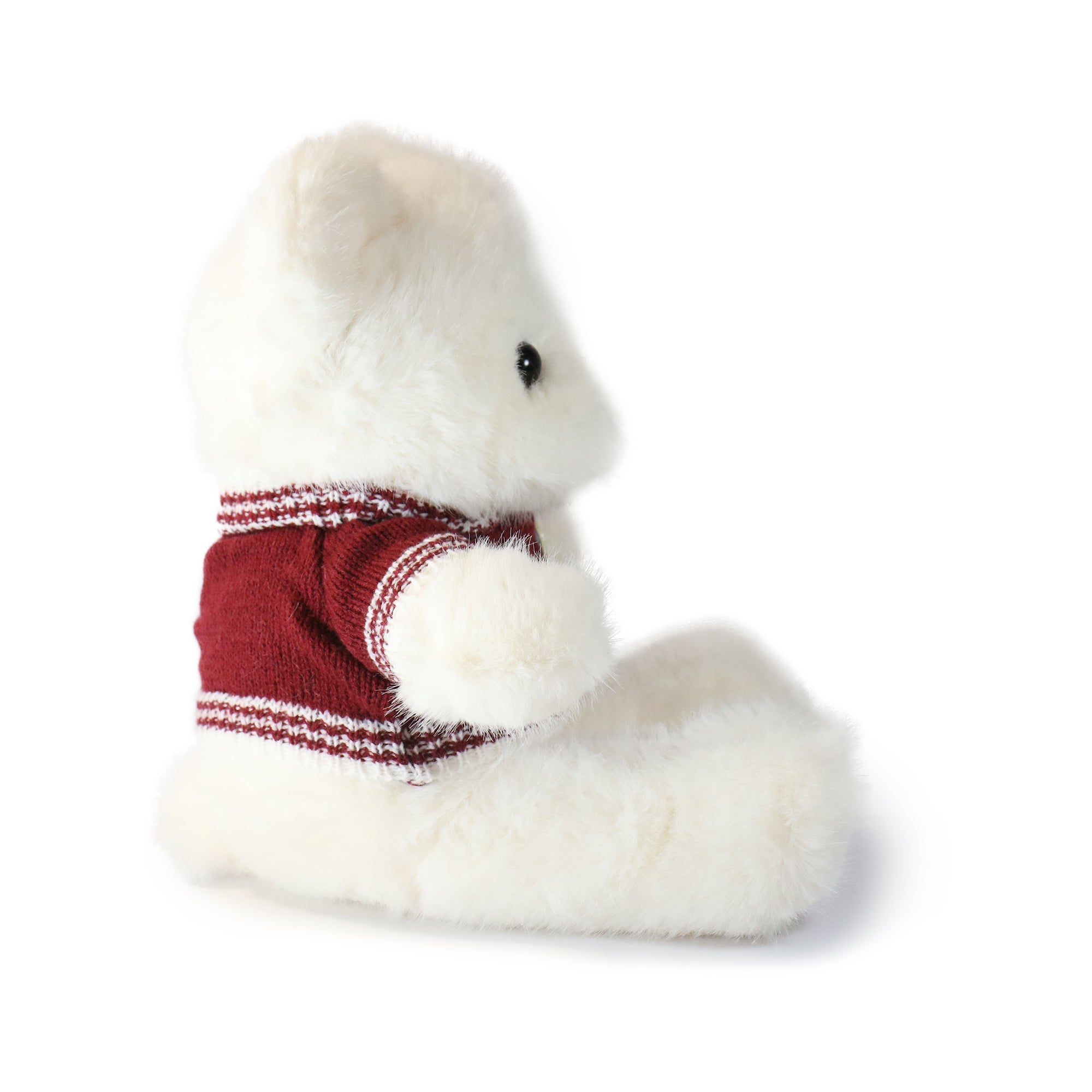 Fashionable Polo Bear 10