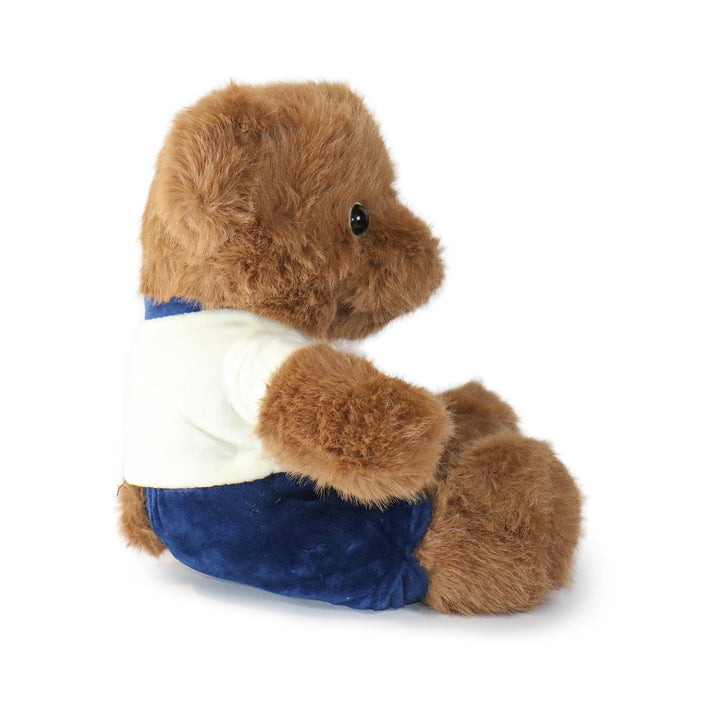 Fashionable Huggable Bear 2