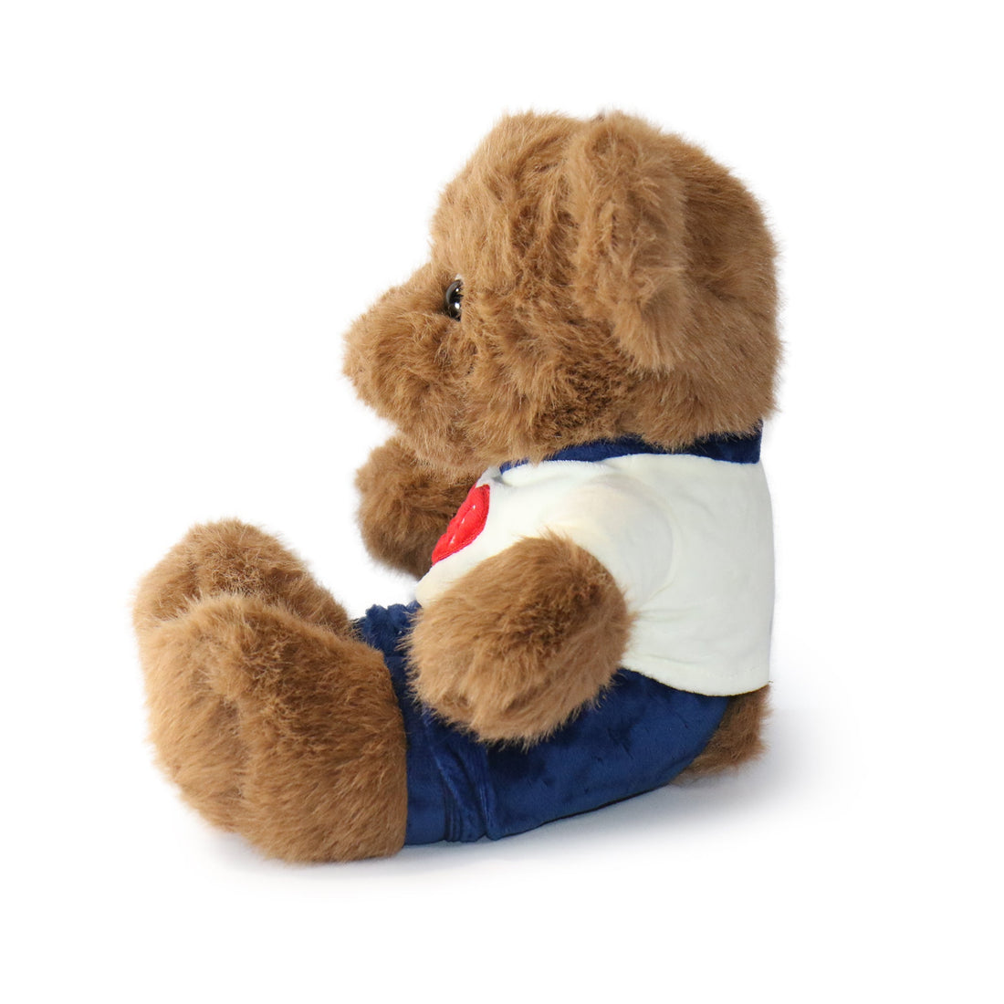 Fashionable Huggable Bear 3