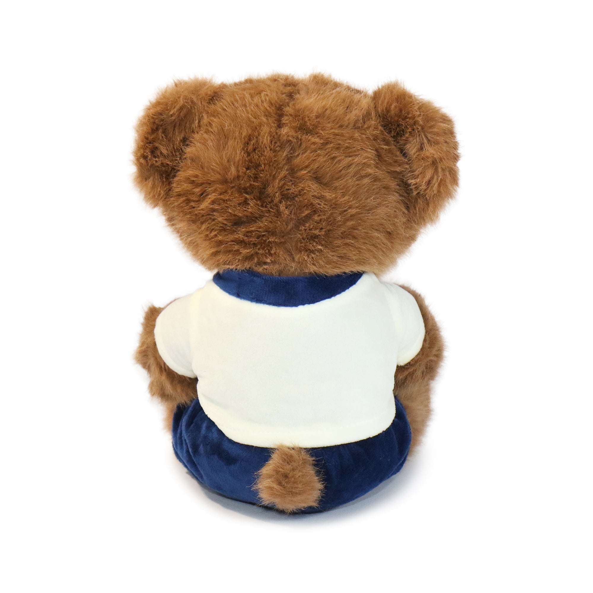 Fashionable Huggable Bear 4
