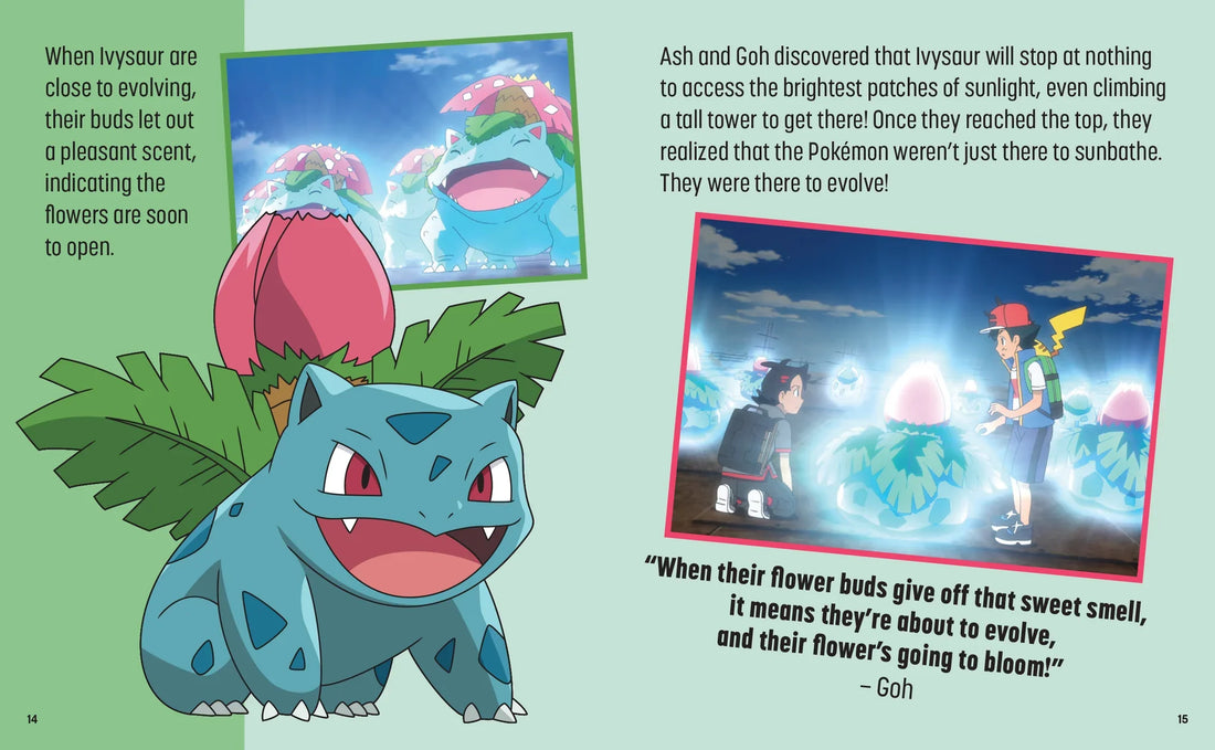 Pokémon: Trainer's Mini Exploration Guide to Kanto 3