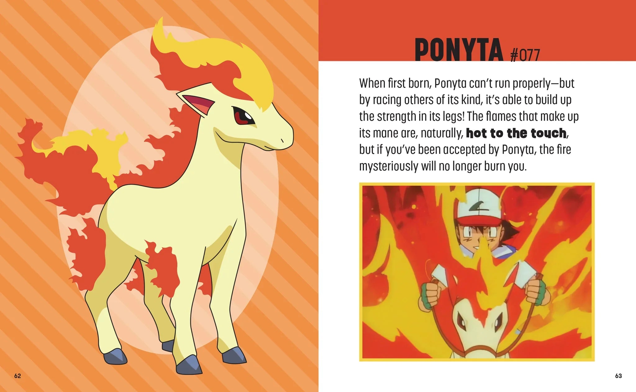 Pokémon: Trainer's Mini Exploration Guide to Kanto 4