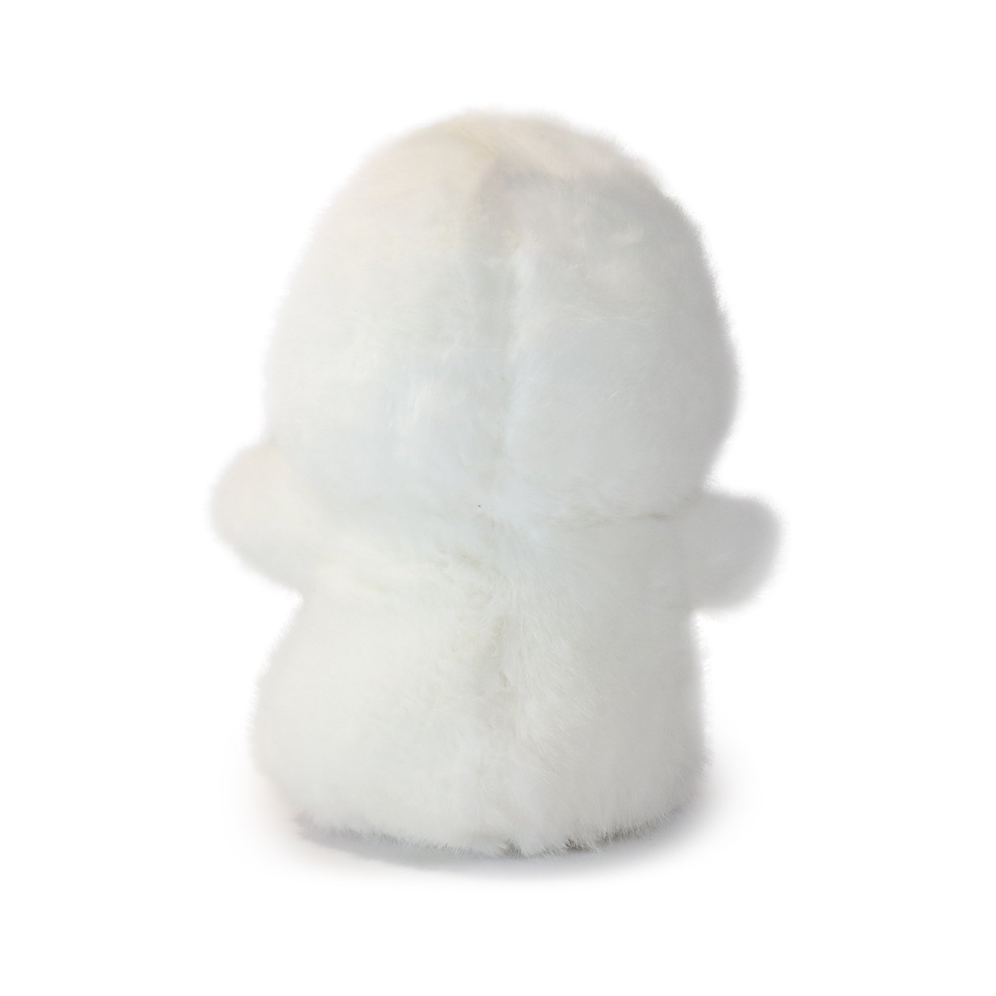 Dashing Bashful Duck 8