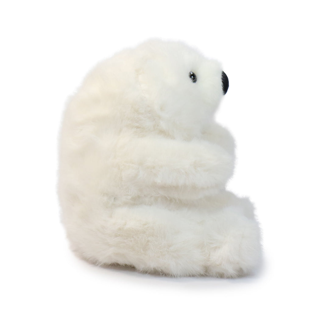 Buzzy Bear 3